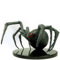 Giant Caveweaver Spider
